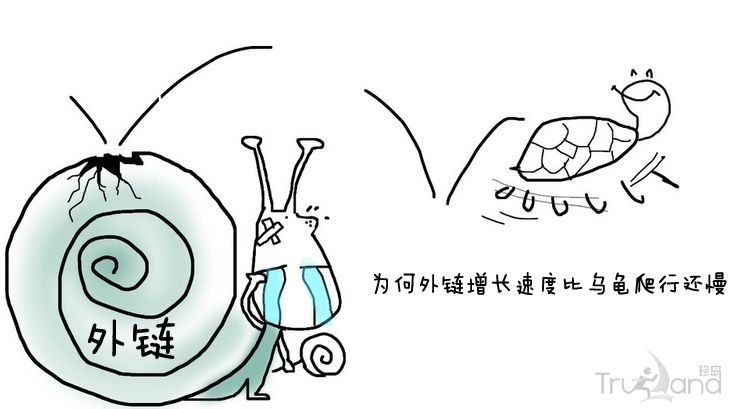 保持外鏈合理增長(cháng)排名穩步上升