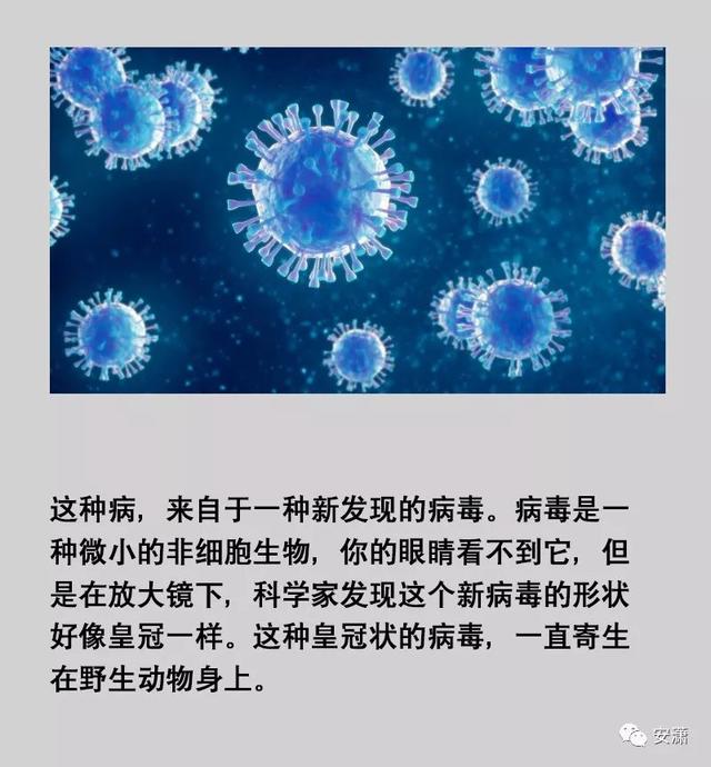 【寶雞seo】寫(xiě)給孩子們的“冠狀病毒”繪本，用它解釋正在發(fā)生..