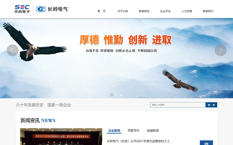 陜西長(cháng)嶺電氣有限責任公司